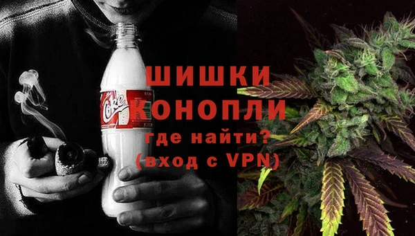 прущие грибы Волосово