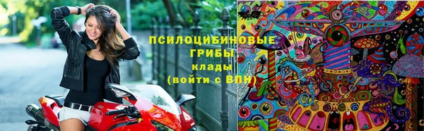 прущие грибы Волосово