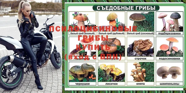 spice Волоколамск