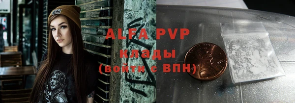прущие грибы Волосово