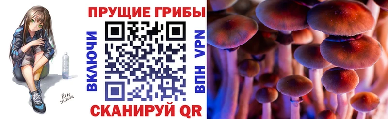 Купить где Тотьма Галлюциногенные грибы Magic Shrooms